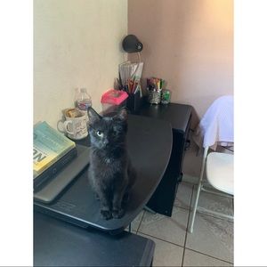 Meet your Posher, Ruth